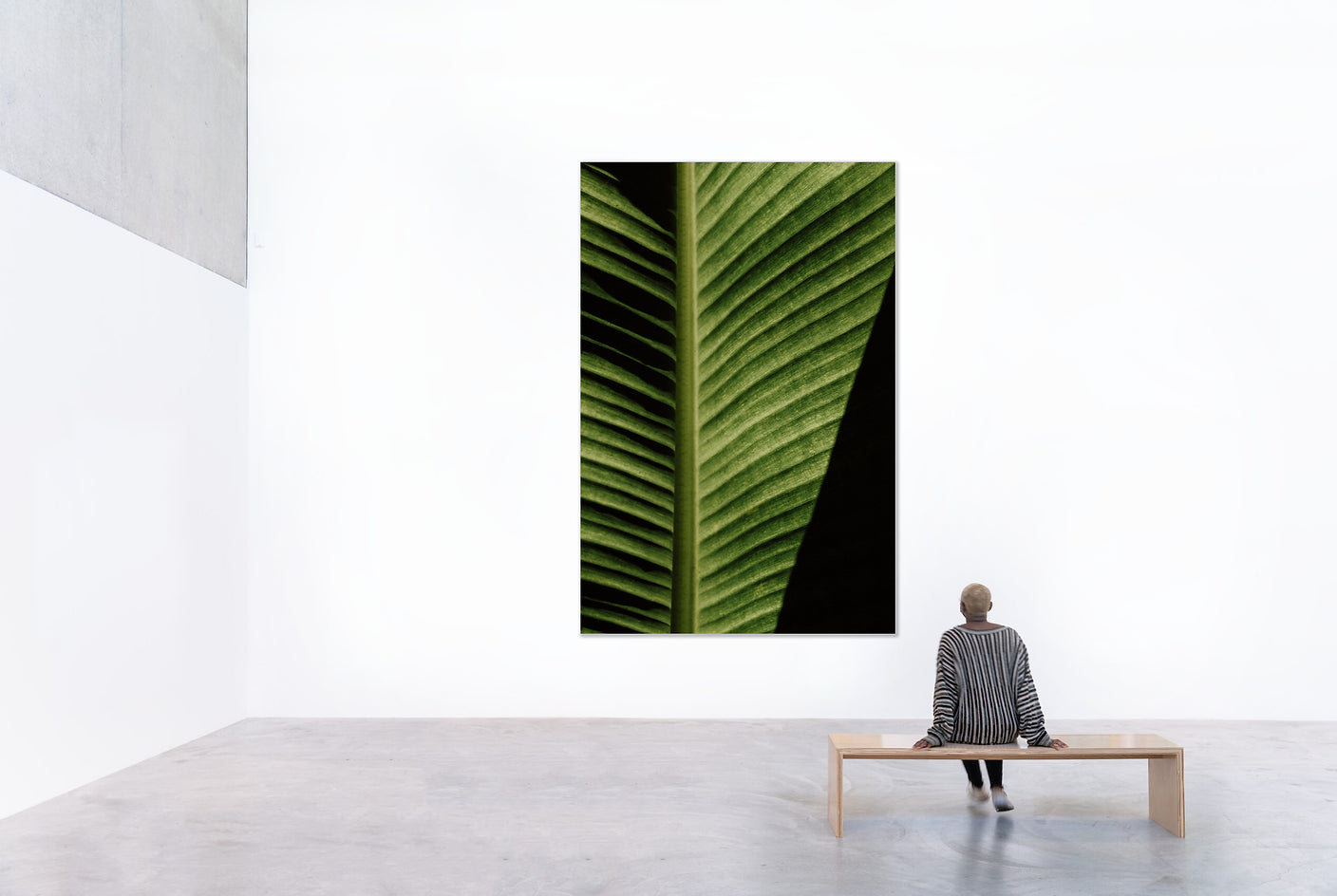 Shadowplay | High Quality Gallery Art Print