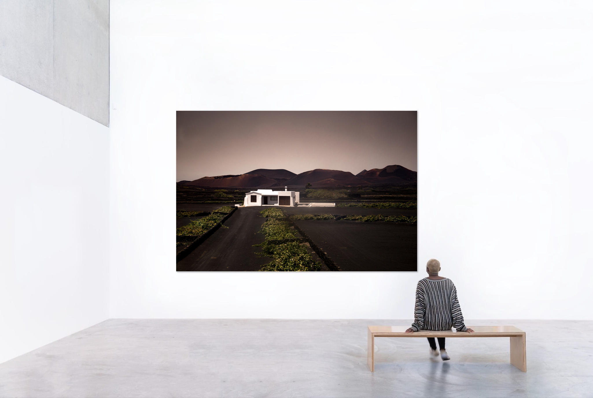 House on Mars | High Quality Gallery Art Print