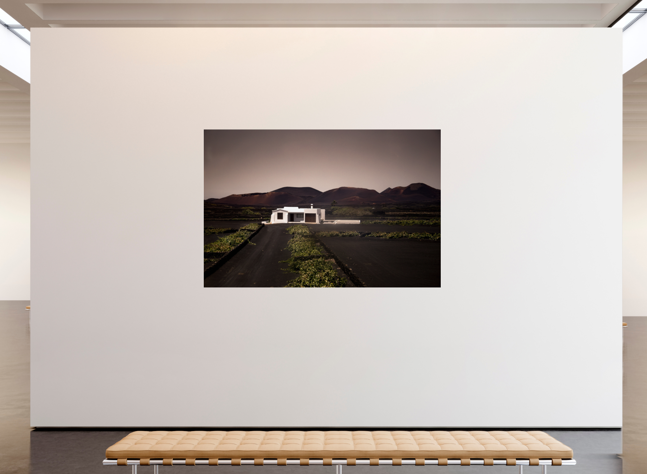 House on Mars | High Quality Gallery Art Print